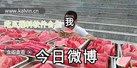 热门瓜合集下载