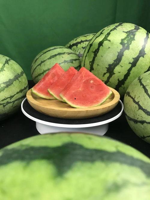 许愿瓜热门款式