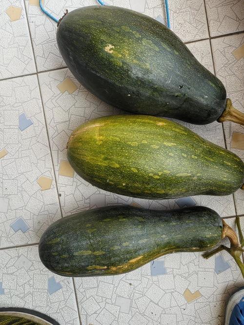 今日的瓜,揭秘娱乐圈最新热点事件