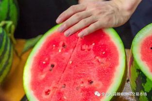 大学热门吃瓜,揭秘校园里的那些“瓜”事