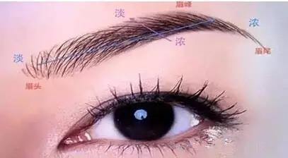 黑眉毛瓜多大可以吃,何时开始美味可口