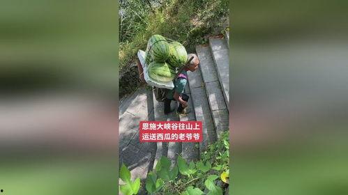 恩施热门大瓜,揭秘当地热门事件背后的真相