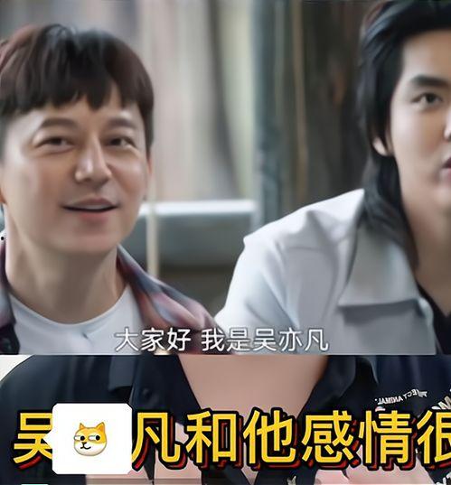 导演爆料吃瓜直播视频,吃瓜直播背后的惊人真相