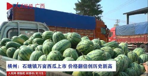 上热门的瓜