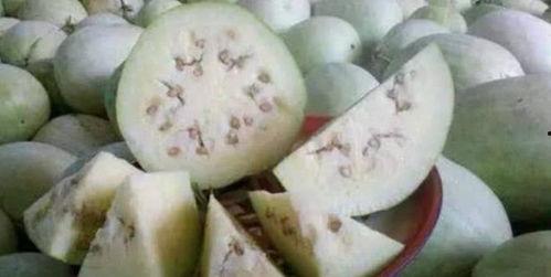 三白瓜黑瓤可以吃吗,揭秘可食用之谜