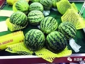 哪里可以看到吃瓜爆料,吃瓜爆料背后的真相追踪