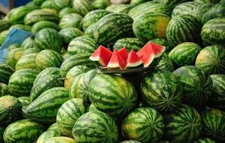 瓜姊今日吃瓜,揭秘娱乐圈最新热点事件