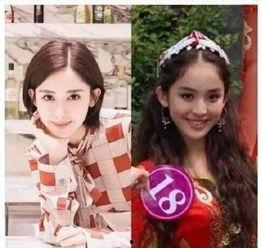 明星网红对比现场,谁才是真正的流量之王？