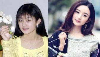 明星网红对比现场,谁才是真正的流量之王？