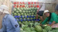 24年热门瓜,揭秘年度十大热门事件