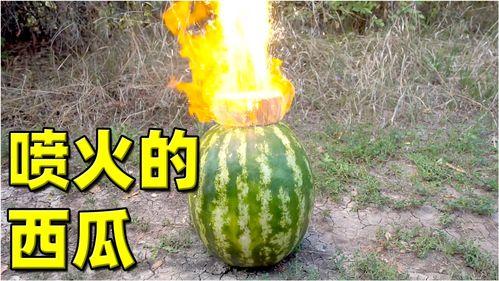 最近热门大瓜,最新热门大瓜揭秘