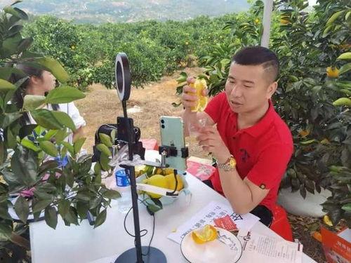 瑞金明星网红直播,打造直播新势力，引领潮流风向标