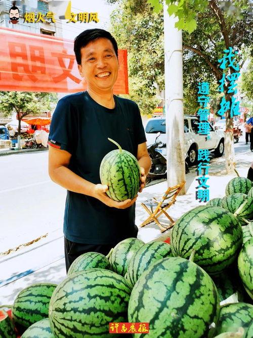 今日许昌瓜,品味夏日田园风情