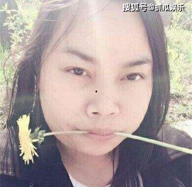 王姓明星网红,跨界网红界的璀璨星辉