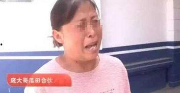 偷瓜事件热门,一场引发热议的邻里纠纷