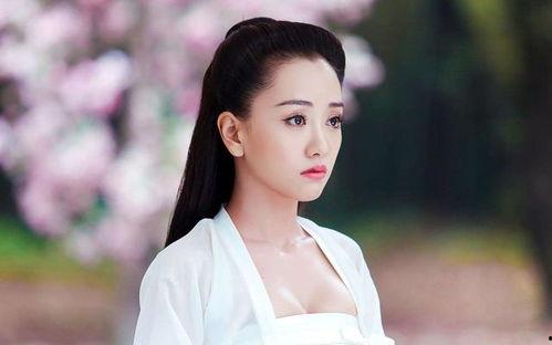 杨姓明星网红,网络红人圈中的璀璨星辰
