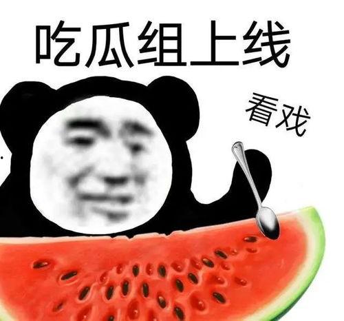 黑料吃瓜是什么意思,网络时代下的八卦文化现象