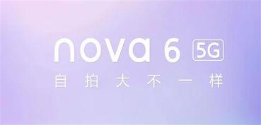 明星网红会员打卡,潮流生活新篇章