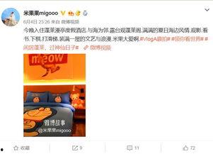 明星网红会员打卡,潮流生活新篇章