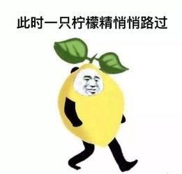 网络最新热门瓜,揭秘娱乐圈惊天秘密！