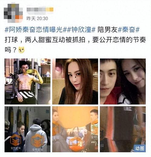 秦嘉倪吃瓜黑料视频,揭秘吃瓜黑料背后的真相