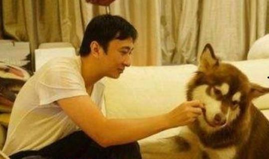 娱乐圈吃瓜爆料王思聪