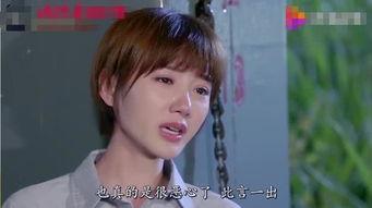 明星网红千万人,揭秘他们的璀璨人生