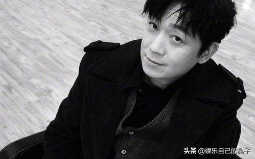 成都明星网红男,闪耀都市的青春偶像