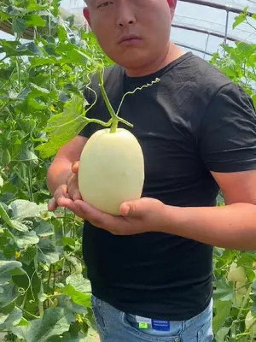 今日看瓜,娱乐圈最新热点事件大盘点