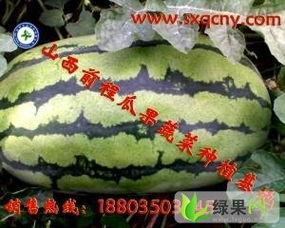 今日份瓜供应,揭秘娱乐圈最新热点事件