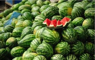 龙耕酒吃瓜爆料,揭秘娱乐圈幕后真相