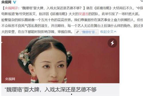 明星网红税负现状,揭秘高收入背后的税务挑战