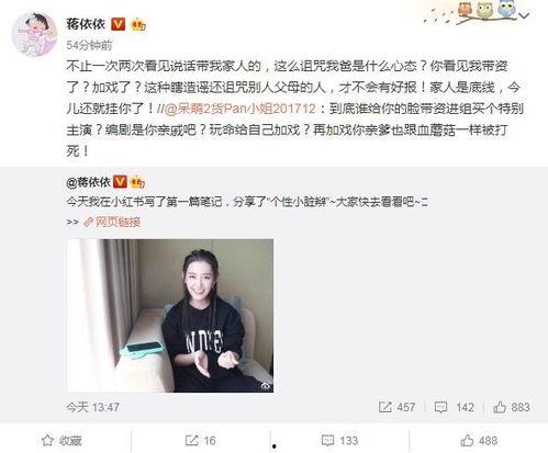 明星网红税负现状,揭秘高收入背后的税务挑战