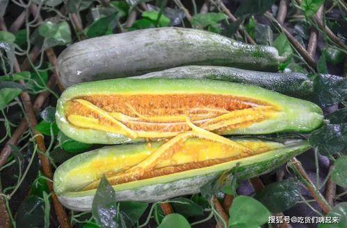 网红吃瓜爆料. com,揭秘娱乐圈幕后真相