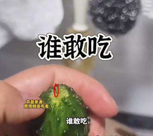 今日爆瓜,揭秘娱乐圈惊天大事件！