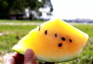 今日爆瓜,揭秘娱乐圈惊天大事件！
