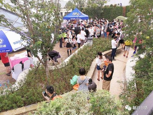 朝阳热门吃瓜,揭秘京城街头那些鲜为人知的美食传奇