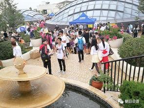 朝阳热门吃瓜,揭秘京城街头那些鲜为人知的美食传奇