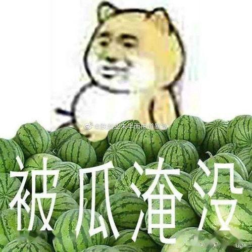 吃瓜黑料是什么意思,网络舆论场中的八卦现象解析