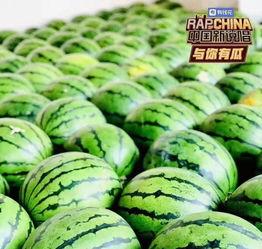 中国热门瓜,真相与八卦的交织