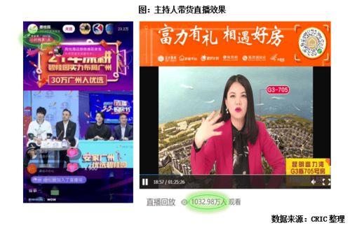 明星网红直播公会,明星网红的崛起之路