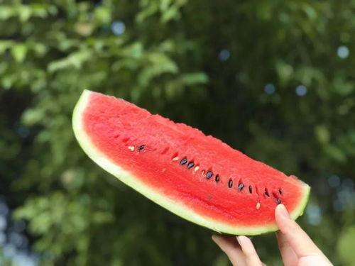 今日吃瓜在线吃瓜,在线围观娱乐圈新鲜事