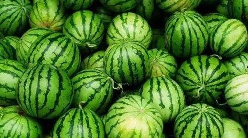 今日 大瓜,揭秘娱乐圈最新热点事件
