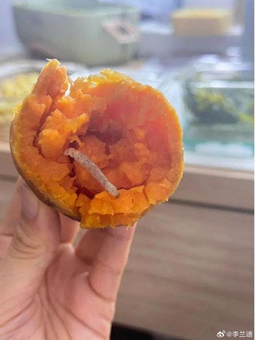 今日份瓜,揭秘娱乐圈最新热点事件