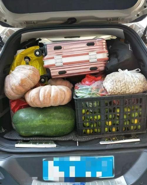 911爆料网吃瓜入口
