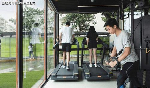 唐山毛瓜今日价格查询,实时数据解读”