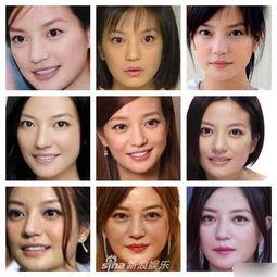 明星网红种子图片,从种子图片看潮流风向标