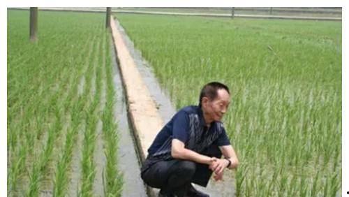 袁隆平与明星网红,跨界合作，共筑农业梦想