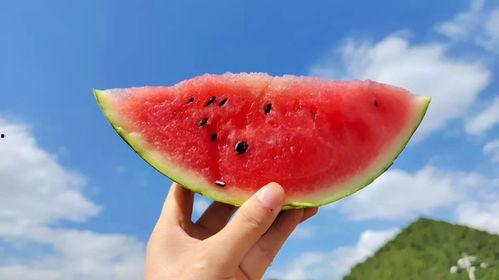 遵义热门吃瓜,揭秘当地美食风云录