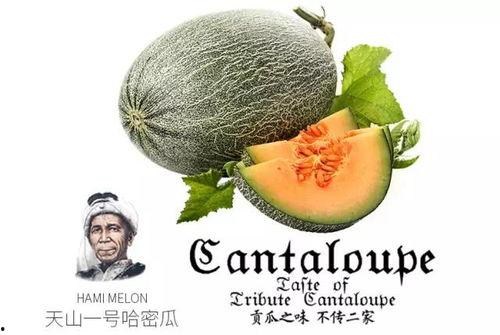 热门吃瓜图片,最新吃瓜图鉴，明星幕后故事大曝光！